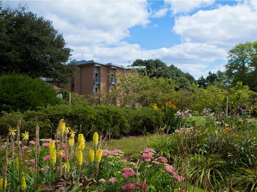 University Of Exeter - Pennsylvania Court Exterior photo